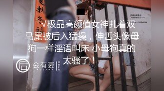 [2DF2] 亚裔小女友 这次有肛塞暖身 插起来就较轻鬆了 -[BT种子]