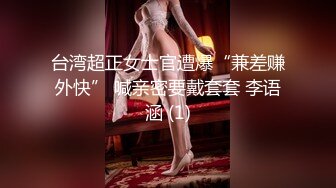 后入 OL制服 少妇