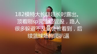 玩老婆的BB2