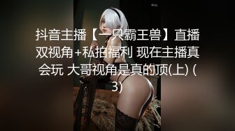 【vincentxxbb】顶级绿帽淫妻大神 淫乱群P小娇妻，直击顶级淫乱现场！超淫乱对白，相当震撼3 (1)