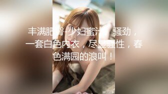 -年度核弹 绿帽夫妻 小鲸鱼 小海怪 海贼老僧 付费群P啪啪露出福利 (2)