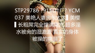 麻豆传媒 MCY-0027 空姐女友被强暴 苏清歌