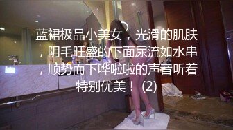 麻豆传媒MCY-0128背着姐姐和外甥女乱伦做爱-林嫣