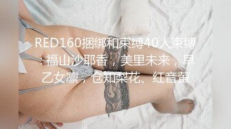 起點傳媒 性視界傳媒 XSJ136 八豔淫新 馬湘蘭 孤注一擲以身易物 斑斑