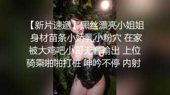 【溏心】【小桃酱】小桃女仆 侍奉旅途