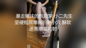 续前一视频，后入式