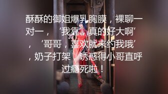 皮肤白皙巨乳网红『琳儿』大尺度私拍流出 极品爆乳SM乳夹诱惑 黑丝OL 开档粉穴翘美臀