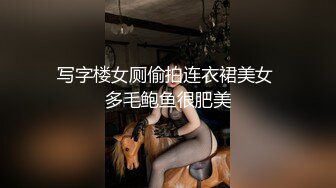 写字楼女厕偷拍连衣裙美女 多毛鲍鱼很肥美