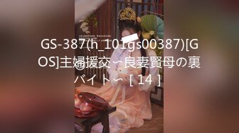 GS-387(h_101gs00387)[GOS]主婦援交〜良妻賢母の裏バイト〜［14］