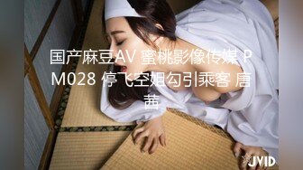 国产麻豆AV 蜜桃影像传媒 PM028 停飞空姐勾引乘客 唐茜