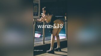 wanz-538