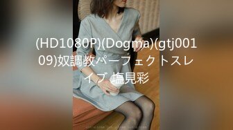 (HD1080P)(Dogma)(gtj00109)奴調教パーフェクトスレイブ 塩見彩