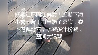 小星探花-约巨乳大奶子御姐穿上黑丝激情啪啪