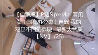 【自整理】P站Npx-vip  看见女上司在办公桌上自慰 我的鸡巴不自觉梆硬   最新大合集【NV】 (25)