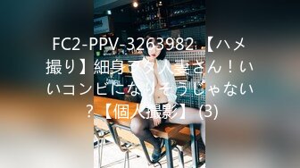 FC2-PPV-3263982 【ハメ撮り】細身ヲタ人妻さん！いいコンビになりそうじゃない？【個人撮影】 (3)