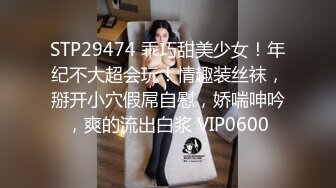 【AI换脸视频】迪丽热巴 乳胶为你服务