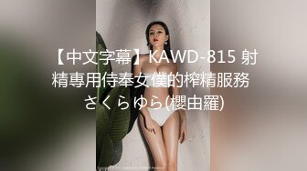 艳艳长沙长相清纯甜美嫩妹子小尺度自慰，情趣装网袜露奶揉搓特写跳蛋震动