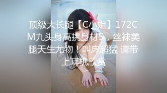 国产主播 极品身材高颜值-小野猫 (31)