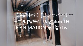 【有码中字】[ピンクパイナップル]指导姦 Day after THE ANIMATION 第1巻.chs