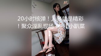 顶级大神【elc调教师】能肏能玩，各种模特网红女神滴蜡走绳喝尿露出羞耻训成母狗 (1)