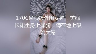 ，有干过这个公交车没有，