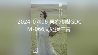 蜜桃傳媒PMC238騷逼寡婦下藥迷奸妹婿-娃娃