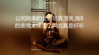 公司刚来的女白领真漂亮,操B的表情太淫荡了叫的真是好听！