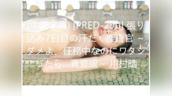 (中文字幕) [PRED-290] 張り込み7日目の汗だく捜査官 ～ダメよ、任務中なのにワタシったら…真夏編～ 川村晴