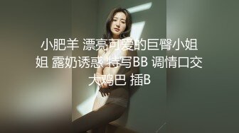 TWTP 游乐场女厕全景偷拍几个撅着屁股嘘嘘的高颜值美女4-1