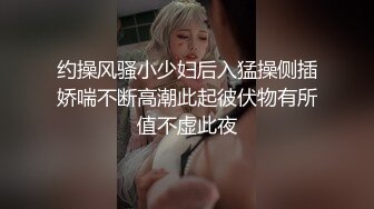 约操风骚小少妇后入猛操侧插娇喘不断高潮此起彼伏物有所值不虚此夜