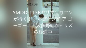 YMDD-115Bヤリマンワゴンが行く！！ ハプニング ア ゴーゴー！！波多野結衣とリズの珍道中