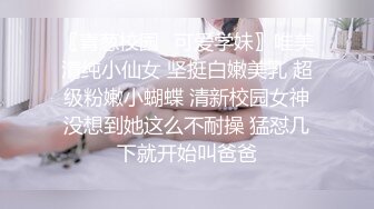 姊姊在这三天是我的专属女仆