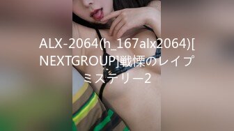 ALX-2064(h_167alx2064)[NEXTGROUP]戦慄のレイプミステリー2