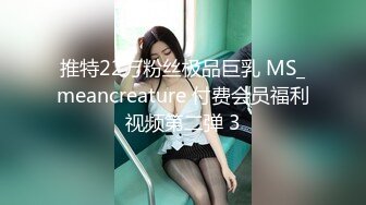 推特22万粉丝极品巨乳 MS_meancreature 付费会员福利视频第二弹 3