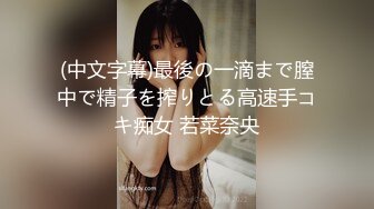 自录无水~丝袜熟妇~P3【大奶幽兰妹】爆乳肥臀~性感开档丝袜~道具自慰~爆汁流浆【35V】 (12)