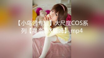 【小鸟酱专题】大尺度COS系列【星奈奈X蕾姆】.mp4