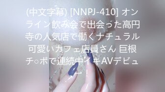 (中文字幕)レイプで中出しされる快感にハマりさらなる中出しチ○コを求める過剰性欲姉妹