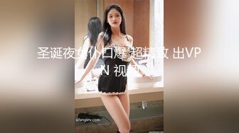 STP25345 【丧志母狗无脑调教】，调教界大佬，两条母狗，乖乖听话，花式玩弄操逼